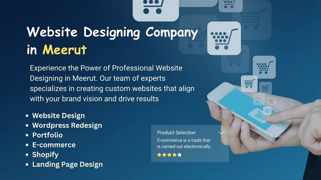 Website Designing Company In Meerut